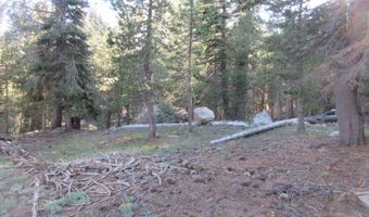 175 Silver Tip Dr, Bear Valley, CA 95223