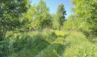 13513 100th St SE, Alto, MI 49302