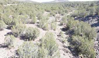 50 County Road 3190, Vernon, AZ 85940