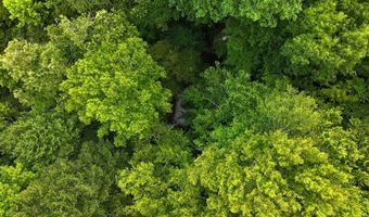 Airport Rd lot 0, Bassett, VA 24055