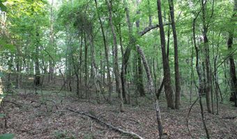 999 Whites Crossing Rd, Ashland, MS 38603