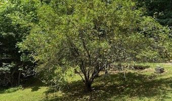 410 N Sharp Mountain Church Ln, Ball Ground, GA 30107
