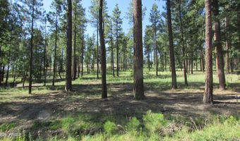 8 CR 2194, Alpine, AZ 85920