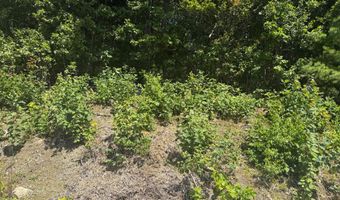 0 Robbins Rd Lot 2, Belfast, ME 04915