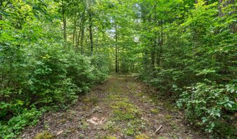 1125 39th St, Allegan, MI 49010