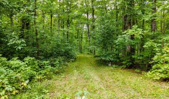 TBD Fishing Site # 2, Amasa, MI 49903