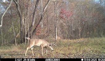 0 W Captina Highway Rd, Alledonia, OH 43902