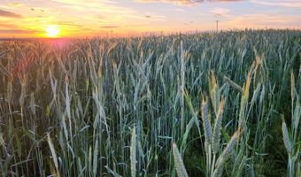 TBD County Road Y, Akron, CO 80720