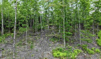 Lightening Ridge Road lot 2, Calais, VT 05650