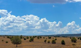 215 Gleed Station Rd Lot A 10 Acre, Ash Fork, AZ 86320