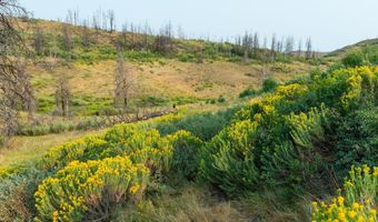 TRACT 17 FISHERMAN CREEK Road, Bondurant, WY 82922