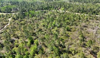 NW Miller Road, Altha, FL 32421