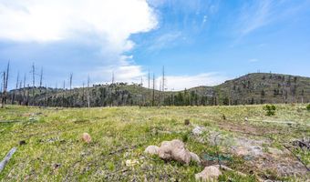 2384 Rist Creek Rd, Bellvue, CO 80512