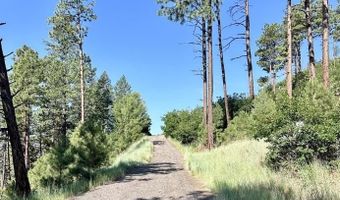13886 County Road 501, Bayfield, CO 81122