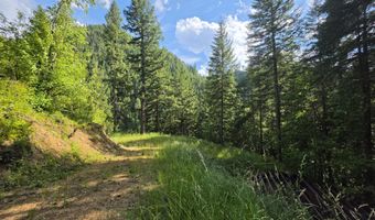 480 Dunn Peak Rd, Avery, ID 83802
