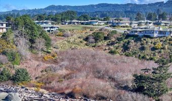 17116 Pacific Heights St, Brookings, OR 97415