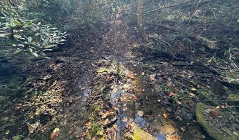 18 6 Acres Cave Branch Rd, Allardt, TN 38504