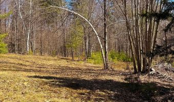 TM 407 L 35 Shem Valley Road, Alexandria, NH 03222