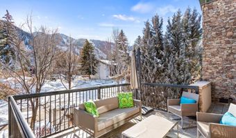990 E Hopkins Ave, Aspen, CO 81611