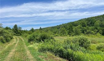 0 Woodland Hills Rd, Andes, NY 13731