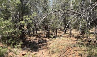164 Rattlesnake Rd, Ash Fork, AZ 86320