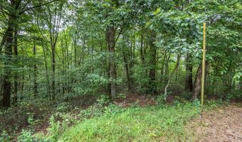 3 Ac Chestnut Flats Rd, Andrews, NC 28901