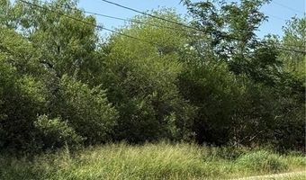 TBA 2 N 2nd Street lot 4, Alice, TX 78342