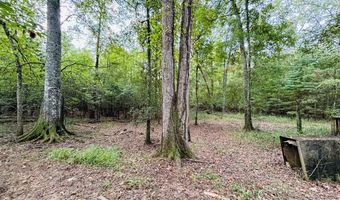 644 Ash-Harrel Loop, Abbeville, GA 31001