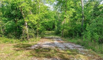 22 62 Acres Hwy 84, Amity, AR 71921