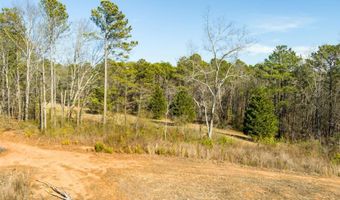 170 Sperin Cabinet Rd, Ball Ground, GA 30107