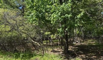 Maccauley Road lot Ev1656, Albrightsville, PA 18210