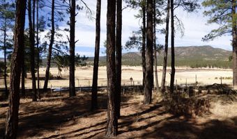 8 B County Road 2267 Escudilla Rd, Alpine, AZ 85920
