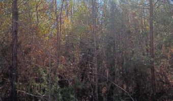 1163 Juneberry Rd, Camden, SC 29020