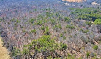 Watt Abbitt Rd, Appomattox, VA 24522