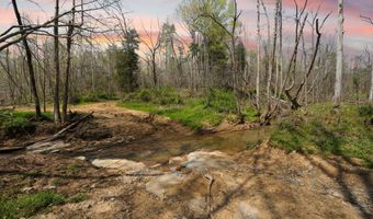 Martha Stockton Road, Albany, KY 42602