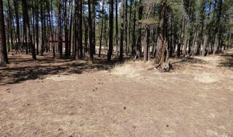8 B County Road 2267 Escudilla Rd, Alpine, AZ 85920