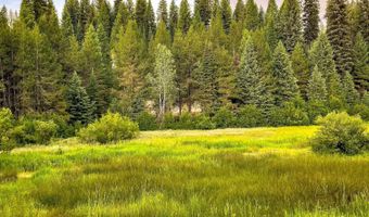 201 Tripod Vw, Cascade, ID 83611