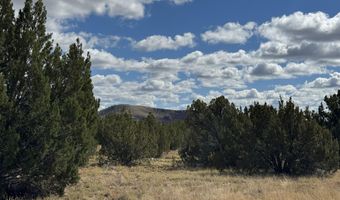 5 Clubhouse Ln, Concho, AZ 85924