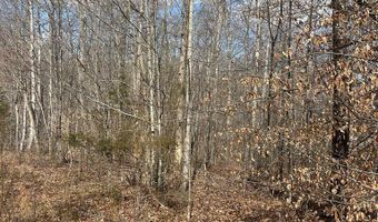 Hwy 127, Albany, KY 42602