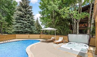625 S WEST END St 8, Aspen, CO 81611
