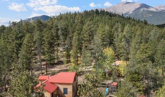 761 Cabin Creek Rd, Allenspark, CO 80510