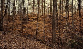 002 Blue Heron Cv, Abbeville, SC 29620