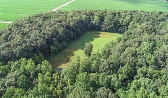 6075 Curtis Rd, Batesville, MS 38606