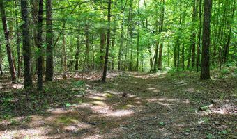 340 Big Mama Ln, Bassett, VA 24602