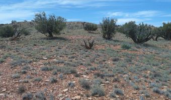 98 N9222, Concho, AZ 85924