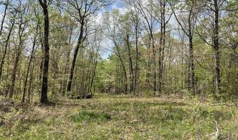 State Hwy N Tract B, Ava, MO 65608