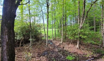 7 Holiday Ct, Albrightsville, PA 18210