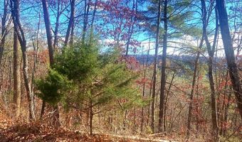 SPITZ Lane, Basye, VA 22810