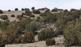 15 County Rd N8641, Concho, AZ 85924