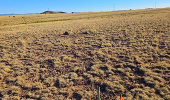 CR 5074 lot 4, Concho, AZ 85924